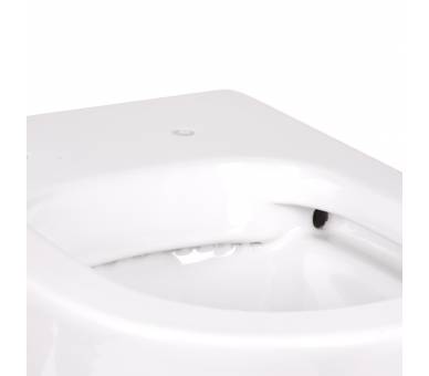 Вуличний туалет Qtap SWAN без обода з сидінням Soft-close QT16223178W