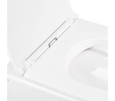 Унитаз Robin подвесной Rimless с сиденьем Soft-close