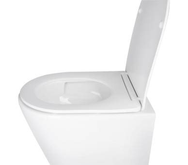 Унітаз Swan підвісний Ultra Quiet з сидінням Soft-close