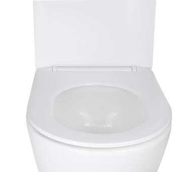Унітаз Swan підвісний Ultra Quiet з сидінням Soft-close