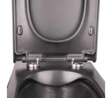 Унітаз Tern Black підвісний Rimless з сидінням Soft-close
